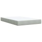 vidaXL Boxspringbett mit Matratze Hellgrau 120x190 cm Samt vidaXL Boxspringbett mit Matratze Hellgrau 120x190 cm Samt