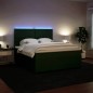 vidaXL Boxspringbett mit Matratze Dunkelgrün 180x200 cm Samt