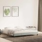 vidaXL Bettgestell ohne Matratze Hellgrau 200x210 cm Samt