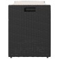 vidaXL Outdoor-Sitzbank mit Stauraum und Kissen Schwarz 100 cm