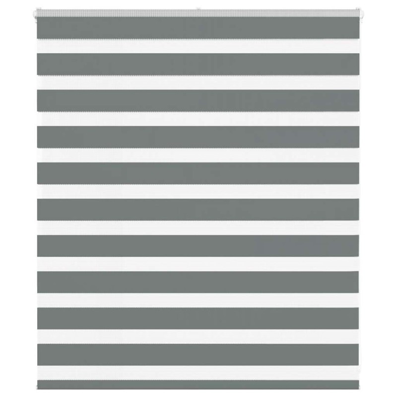 vidaXL Zebrarollo Dunkelgrau 120x100 cm Stoffbreite 115,9 cm Polyester vidaXL Zebrarollo Dunkelgrau 120x100 cm Stoffbreite 115,9 cm Polyester