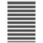 vidaXL Zebrarollo Schwarz 115x100 cm Stoffbreite 110,9 cm Polyester vidaXL Zebrarollo Schwarz 115x100 cm Stoffbreite 110,9 cm Polyester