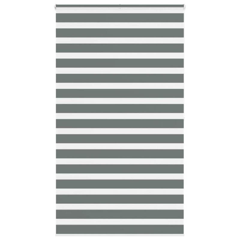vidaXL Zebrarollo Dunkelgrau 120x200 cm Stoffbreite 115,9 cm Polyester vidaXL Zebrarollo Dunkelgrau 120x200 cm Stoffbreite 115,9 cm Polyester