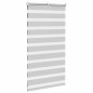 vidaXL Zebrarollo Hellgrau 70x100 cm Stoffbreite 65,9 cm Polyester vidaXL Zebrarollo Hellgrau 70x100 cm Stoffbreite 65,9 cm Polyester