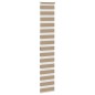 vidaXL Zebrarollo Sandbraun 50x200 cm Stoffbreite 45,9 cm Polyester