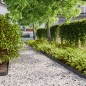 vidaXL Rasenkanten 50 Stk. Schwarz 10x103 cm Kaltgewalzter Stahl