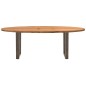 vidaXL Esstisch Hellbraun 220x100x74 cm Massivholz Eiche Oval vidaXL Esstisch Hellbraun 220x100x74 cm Massivholz Eiche Oval