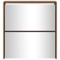 vidaXL Schuhschrank mit Spiegel 2 Fächer Braun Eichen-Optik 63x17x67cm vidaXL Schuhschrank mit Spiegel 2 Fächer Braun Eichen-Optik 63x17x67cm