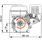 vidaXL Benzinmotor 15 PS 11 kW Schwarz vidaXL Benzinmotor 15 PS 11 kW Schwarz