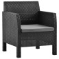 Gartenstühle mit Kissen 2 Stk. PP Rattan Anthrazit Gartenstühle mit Kissen 2 Stk. PP Rattan Anthrazit