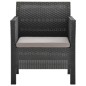 Gartenstühle mit Kissen 2 Stk. PP Rattan Anthrazit Gartenstühle mit Kissen 2 Stk. PP Rattan Anthrazit