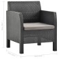 Gartenstühle mit Kissen 2 Stk. PP Rattan Anthrazit Gartenstühle mit Kissen 2 Stk. PP Rattan Anthrazit