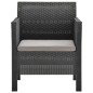 2-tlg. Garten-Lounge-Set mit Kissen PP Rattan Anthrazit 2-tlg. Garten-Lounge-Set mit Kissen PP Rattan Anthrazit