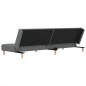 Schlafsofa 2-Sitzer mit 2 Kissen & Hocker Dunkelgrau Stoff Schlafsofa 2-Sitzer mit 2 Kissen & Hocker Dunkelgrau Stoff