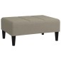 Schlafsofa 2-Sitzer mit 2 Kissen & Hocker Hellgrau Samt Schlafsofa 2-Sitzer mit 2 Kissen & Hocker Hellgrau Samt
