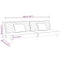 Schlafsofa 2-Sitzer mit 2 Kissen und Fußhocker Schwarz Samt Schlafsofa 2-Sitzer mit 2 Kissen und Fußhocker Schwarz Samt