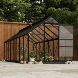 vidaXL Glas Gewächshaus Anthrazit 155x395,5x191 cm Aluminium
