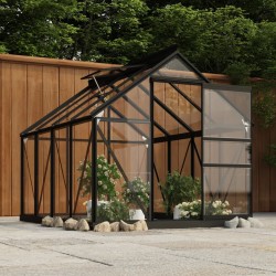vidaXL Glas Gewächshaus Anthrazit 155x200,5x191 cm Aluminium