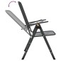 vidaXL Klappbare Gartenstühle 2 Stk. Streckgitter Anthrazit vidaXL Klappbare Gartenstühle 2 Stk. Streckgitter Anthrazit