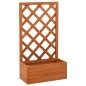 Garten-Spalier mit Blumenkasten Orange 50x25x90 cm Tannenholz Garten-Spalier mit Blumenkasten Orange 50x25x90 cm Tannenholz