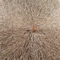 vidaXL Bambus-Sonnenschirm mit Bananenblatt-Dach 270 cm vidaXL Bambus-Sonnenschirm mit Bananenblatt-Dach 270 cm