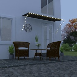 vidaXL Einziehbare Markise mit LED 300×150 cm Anthrazit 