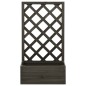 Garten-Spalier mit Blumenkasten Grau 50x25x90 cm Tannenholz Garten-Spalier mit Blumenkasten Grau 50x25x90 cm Tannenholz