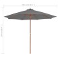 Sonnenschirm mit Holz-Mast 300 cm Anthrazit Sonnenschirm mit Holz-Mast 300 cm Anthrazit