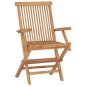 Klappbare Gartenstühle 2 Stk. Massivholz Teak Klappbare Gartenstühle 2 Stk. Massivholz Teak