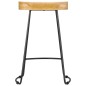 Gavin Barhocker 2 Stk. Massivholz Mango Gavin Barhocker 2 Stk. Massivholz Mango