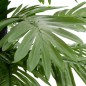 vidaXL Künstliche Palme mit 88 LEDs Warmweiß 150 cm vidaXL Künstliche Palme mit 88 LEDs Warmweiß 150 cm