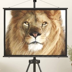 Beamer Leinwand 50" 4:3