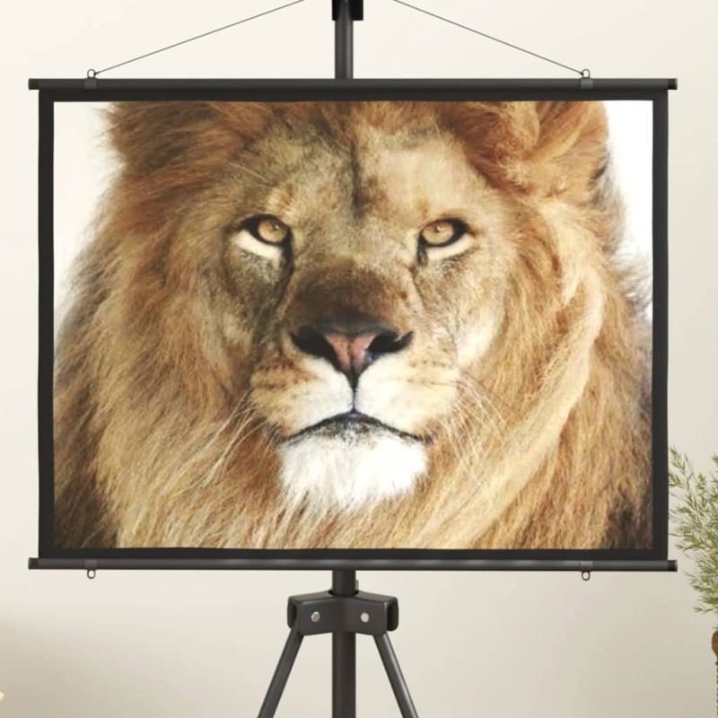 Beamer Leinwand 50" 4:3 Beamer Leinwand 50" 4:3