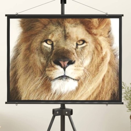 Beamer Leinwand 50" 4:3