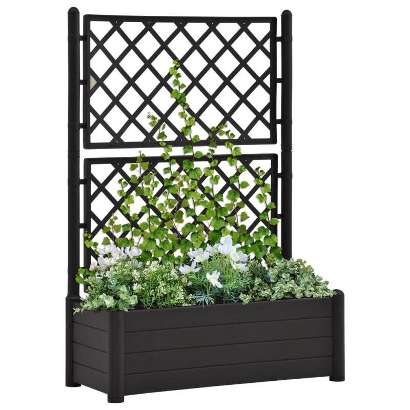 Pflanzkübel mit Spalier 100x43x142 cm PP Anthrazit Pflanzkübel mit Spalier 100x43x142 cm PP Anthrazit