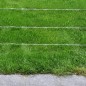 Stacheldraht 500 m aufgerollt Stacheldraht 500 m aufgerollt