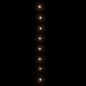 Lichterkette mit 1000 LEDs 100 m 8 Lichteffekte IP44 Warmweiß Lichterkette mit 1000 LEDs 100 m 8 Lichteffekte IP44 Warmweiß