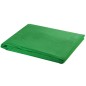 vidaXL Fotohintergrund Baumwolle Grün 500 x 300 cm Chroma-Key vidaXL Fotohintergrund Baumwolle Grün 500 x 300 cm Chroma-Key