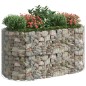 Gabionen-Hochbeet Verzinktes Eisen 200x100x100 cm Gabionen-Hochbeet Verzinktes Eisen 200x100x100 cm