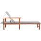 Sonnenliege Poly Rattan und Akazie Massivholz Grau Sonnenliege Poly Rattan und Akazie Massivholz Grau