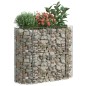Gabionen-Hochbeet Verzinktes Eisen 120x50x100 cm Gabionen-Hochbeet Verzinktes Eisen 120x50x100 cm