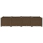 Hochbeet 160x40x38 cm Polypropylen Hochbeet 160x40x38 cm Polypropylen
