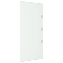 Seitenwand für Vordach Transparent 50x100 cm Hartglas
