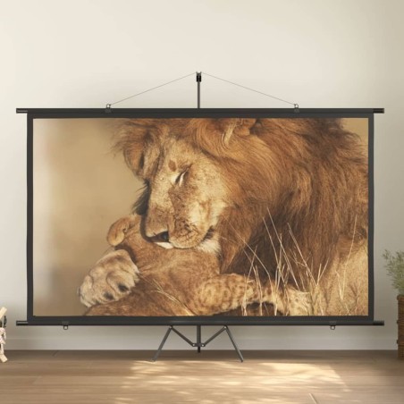 Beamer Leinwand 120 16:9