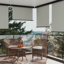 vidaXL Balkon-Seitenmarkise 165x250 cm Grau