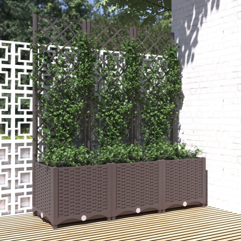 Pflanzkübel mit Rankgitter Braun 120x40x136 cm PP Pflanzkübel mit Rankgitter Braun 120x40x136 cm PP