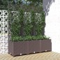 Pflanzkübel mit Rankgitter Braun 120x40x136 cm PP Pflanzkübel mit Rankgitter Braun 120x40x136 cm PP