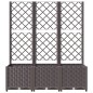 Pflanzkübel mit Rankgitter Braun 120x40x136 cm PP Pflanzkübel mit Rankgitter Braun 120x40x136 cm PP