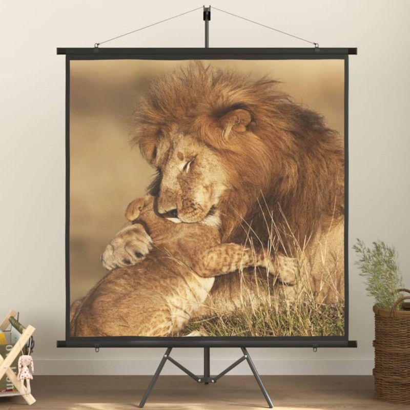 Beamer-Leinwand mit Stativ 57" 1:1 Beamer-Leinwand mit Stativ 57" 1:1