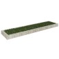 Gabionen-Hochbeet Verzinkter Stahl 400x100x20 cm Gabionen-Hochbeet Verzinkter Stahl 400x100x20 cm
